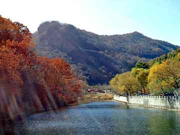 澳门一码一肖一待一中今晚，水杉基地